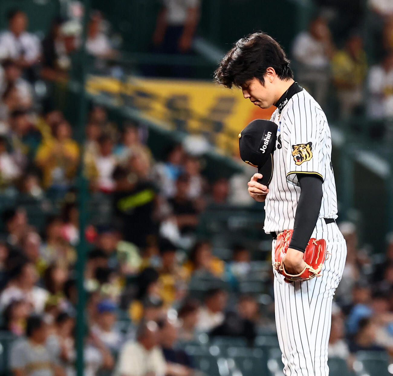 阪神対DeNA DeNA戦に先発する阪神才木浩人はマウンドで一礼する（撮影・加藤哉）