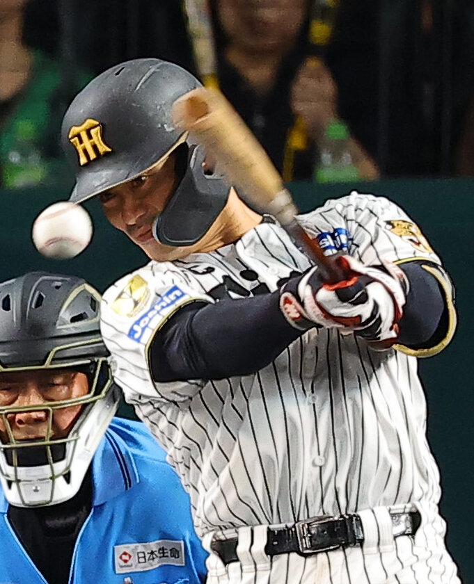 阪神対DeNA 6回裏阪神無死、坂本誠志郎は安打を放つ（撮影・上田博志）