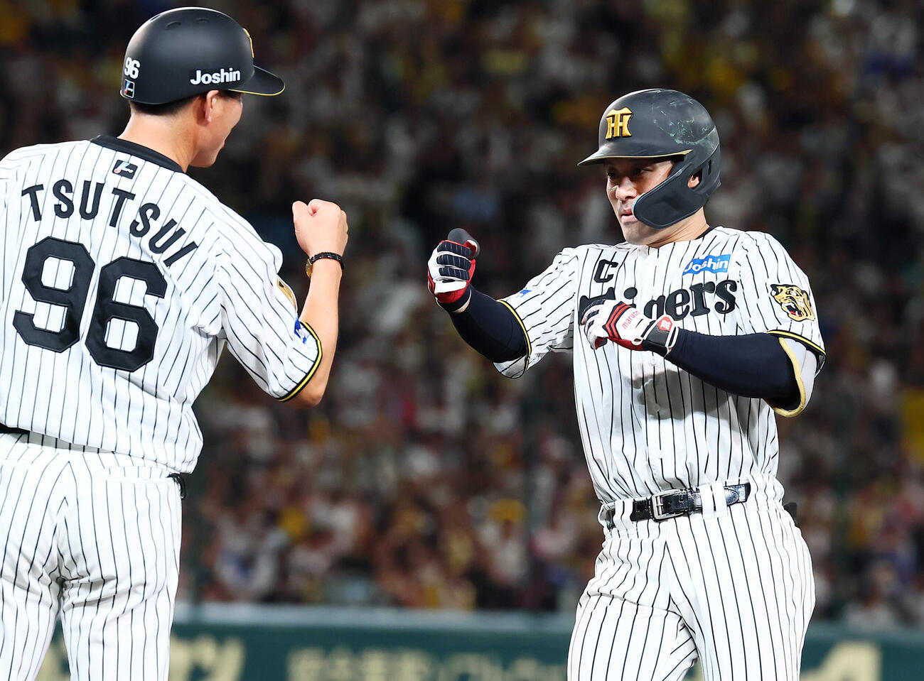 阪神対DeNA 6回裏阪神無死、坂本誠志郎は左前打を放ち筒井コーチとグータッチ（撮影・加藤哉）