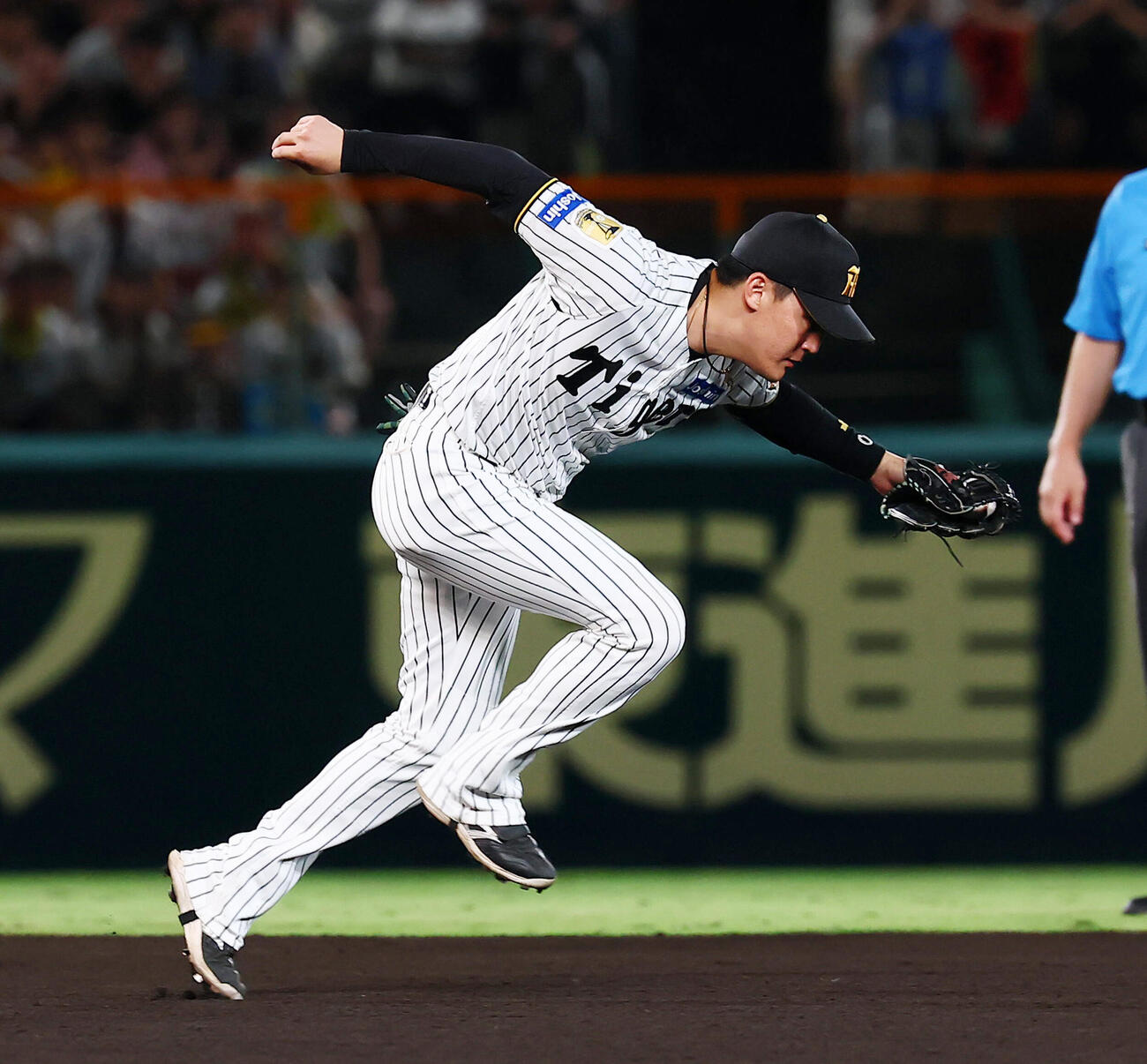 阪神対DeNA 6回表DeNA1死、元山飛優は宮崎敏郎の打球を好捕（撮影・加藤哉）