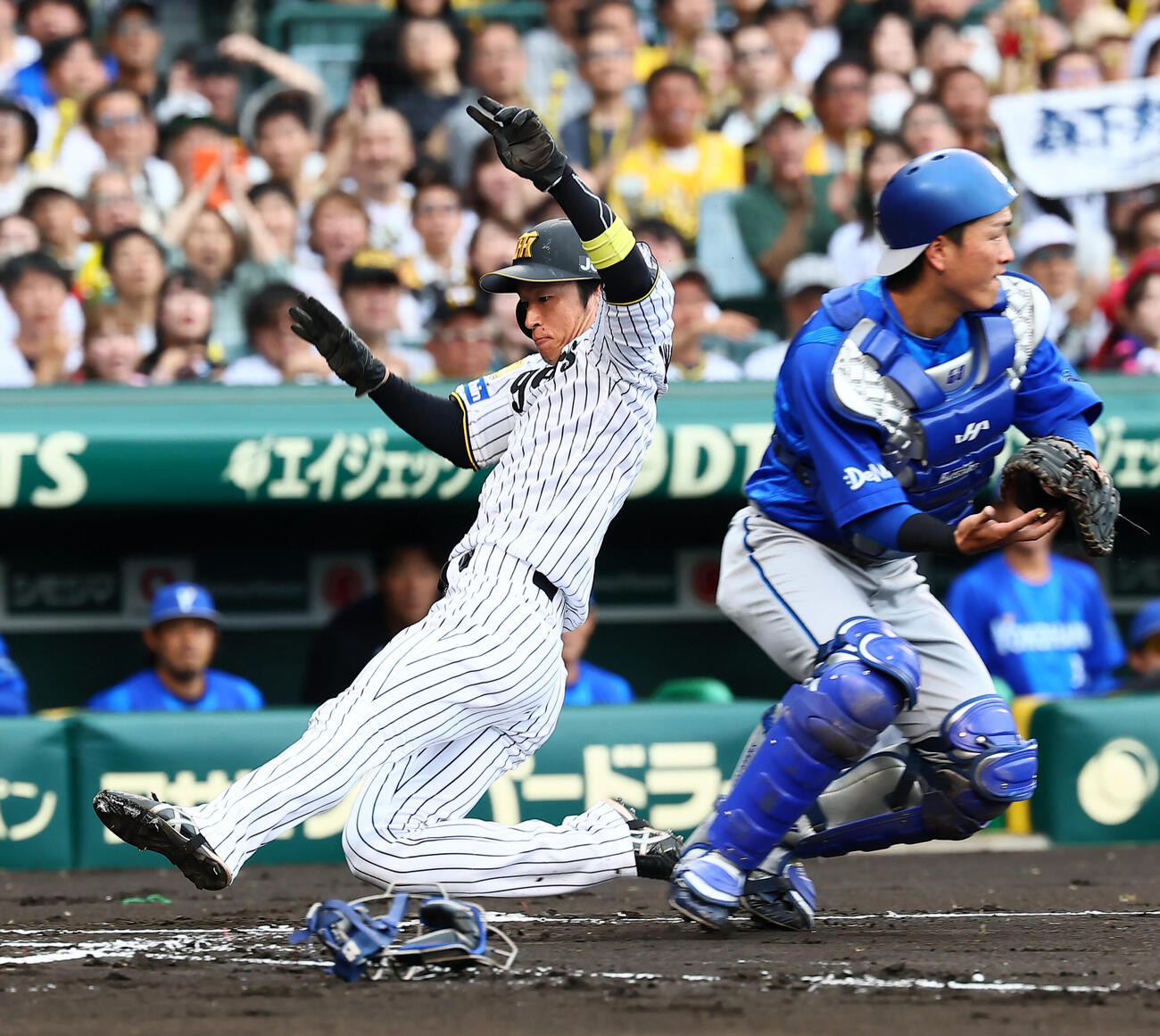 阪神対DeNA 1回裏阪神1死一塁、一走近本光司は森下翔太の左越え適時二塁打で生還する。捕手古市尊（撮影・加藤哉）