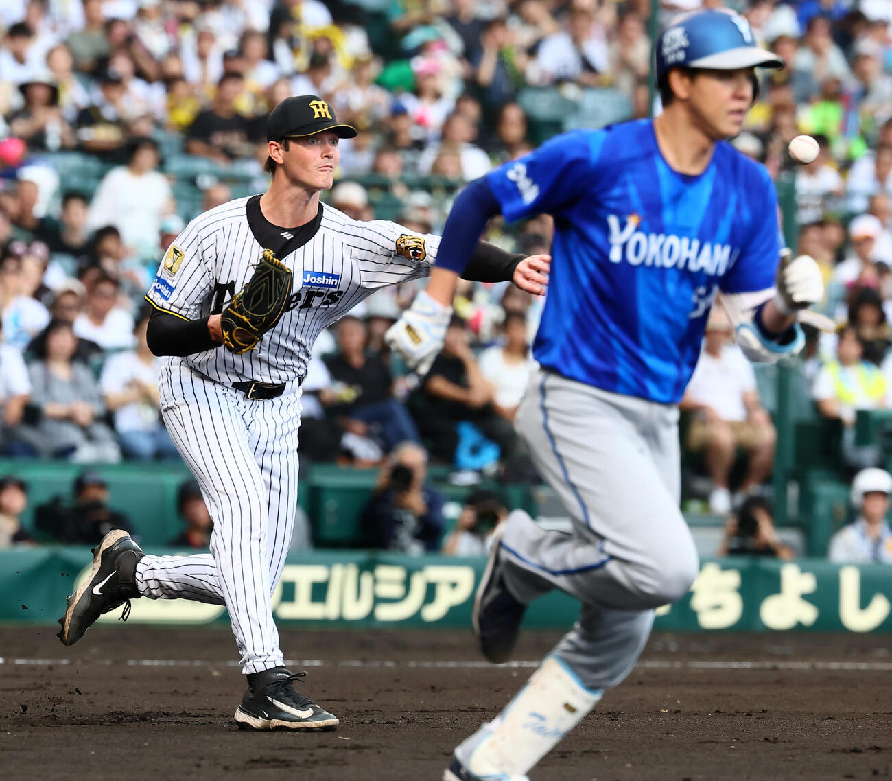 阪神対DeNA 3回表DeNA無死一塁、イーストン・ルーカスは平良拳太郎の送りバントを一塁へ送球する（撮影・加藤哉）