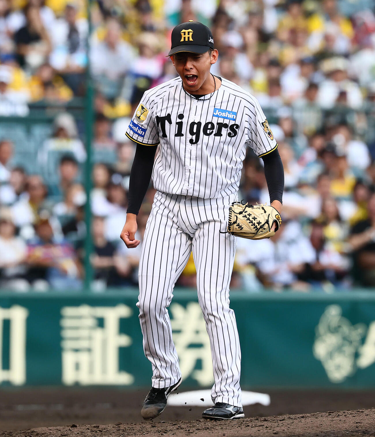阪神対DeNA 3回表DeNA2死一、三塁、阪神2番手で登板した神宮僚介はヘラル・エンカーナシオンを三振に仕留め雄たけびを上げる（撮影・加藤哉）