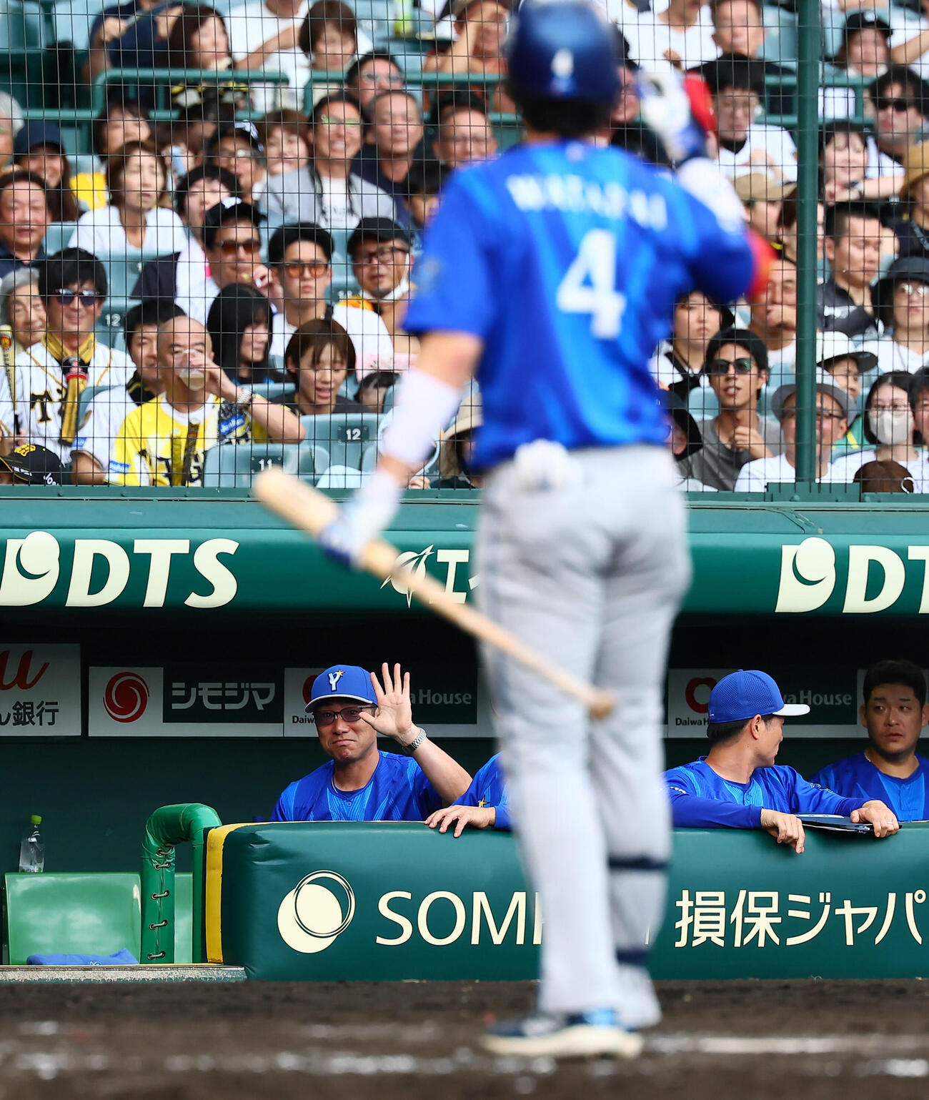阪神対DeNA 5回表DeNA無死、度会隆輝のファウルがベンチの相川亮二監督に直撃するも、大丈夫と手をあげて応える（撮影・加藤哉）