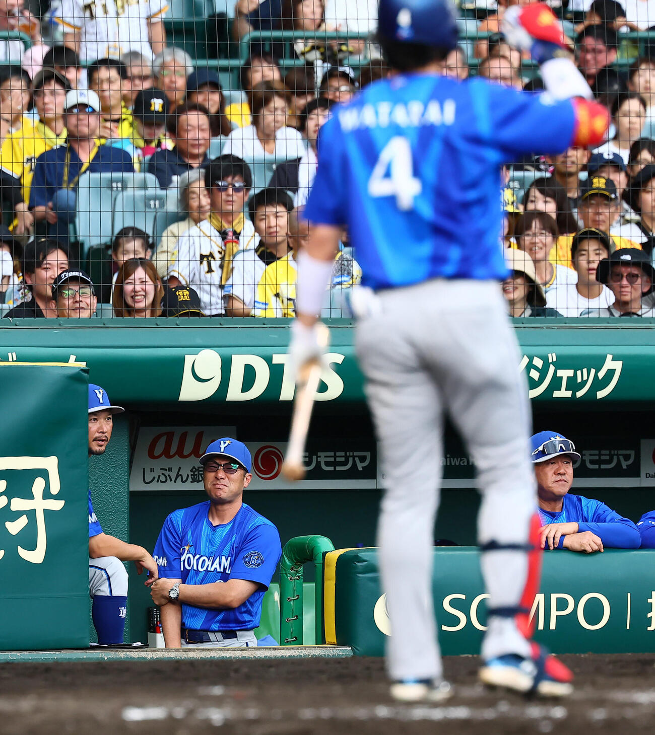 阪神対DeNA 5回表DeNA無死、度会隆輝のファウルが直撃し腕を押さえる相川亮二監督（撮影・加藤哉）