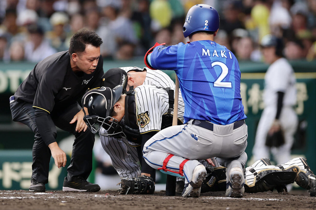 阪神対DeNA 7回表DeNA1死、牧秀悟のファウルボールが当たり痛がる坂本誠志郎（手前から2人目）（撮影・前田充）