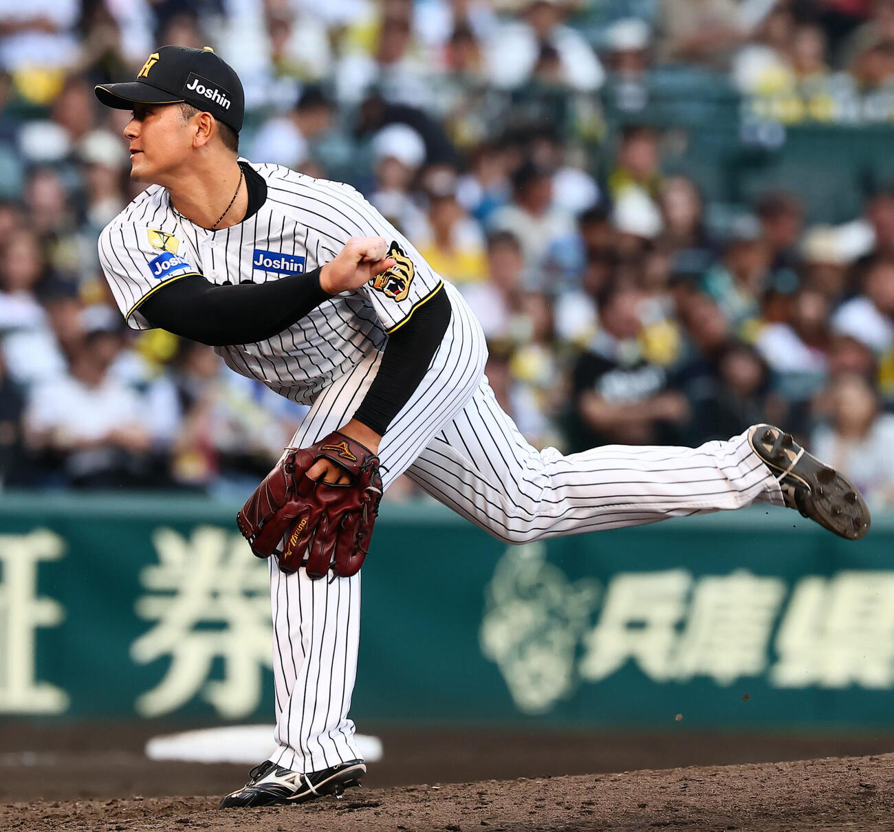 阪神対DeNA 6回表、阪神4番手で登板する岡留英貴（撮影・加藤哉）