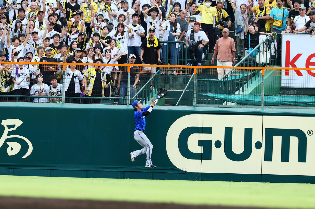 阪神対DeNA 7回裏阪神2死、度会隆輝は坂本誠志郎の飛球を好捕（撮影・加藤哉）