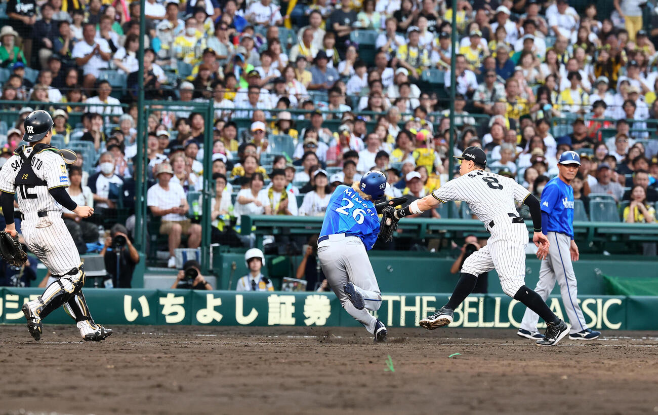 阪神対DeNA 8回表DeNA1死二、三塁、古市尊のスクイズ失敗で三本間に挟まれアウトになる三走代走三森大貴（撮影・加藤哉）