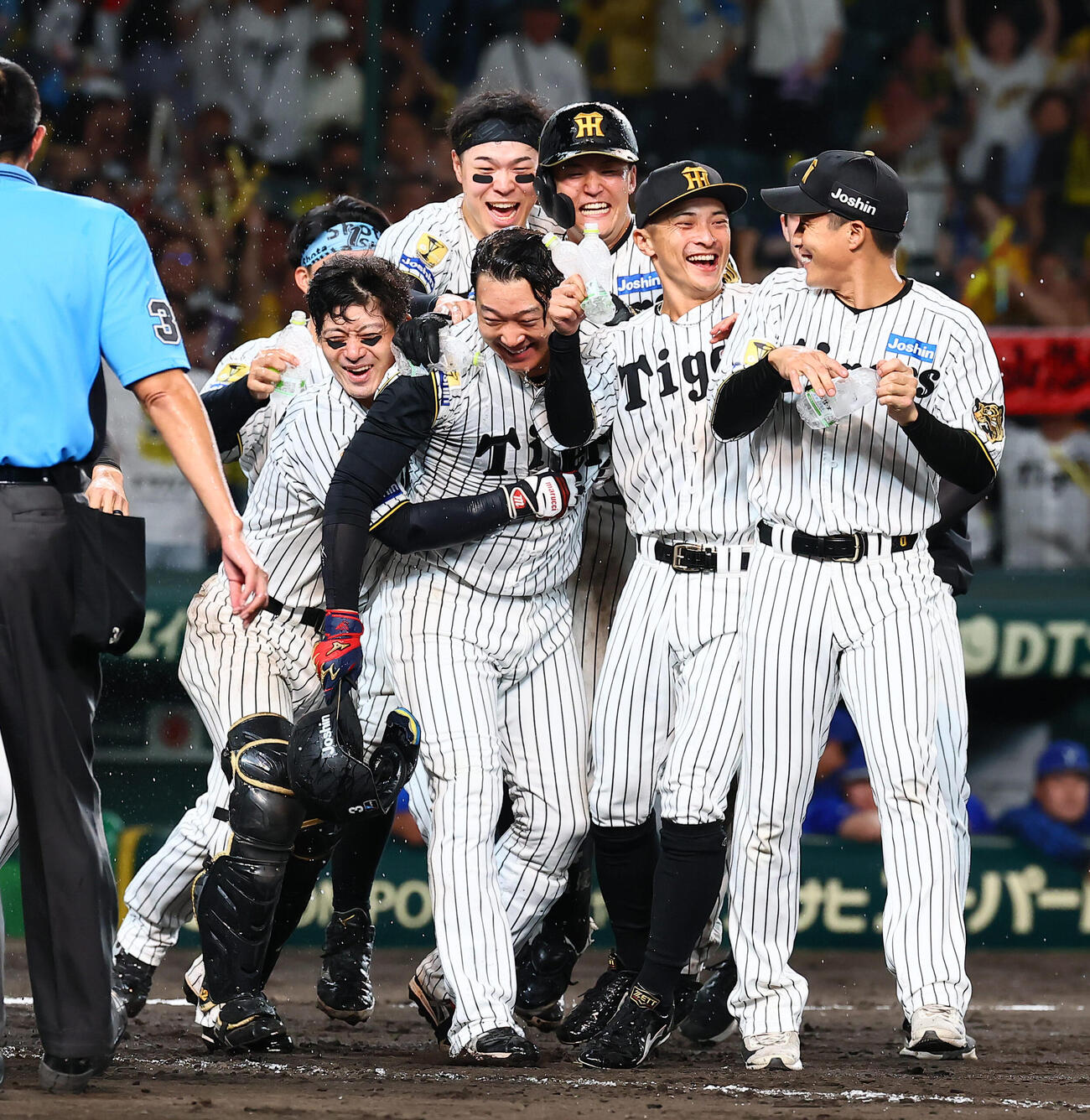 阪神対DeNA 11回裏阪神1死、大山悠輔はサヨナラ本塁打を放ちナインから祝福される（撮影・加藤哉）