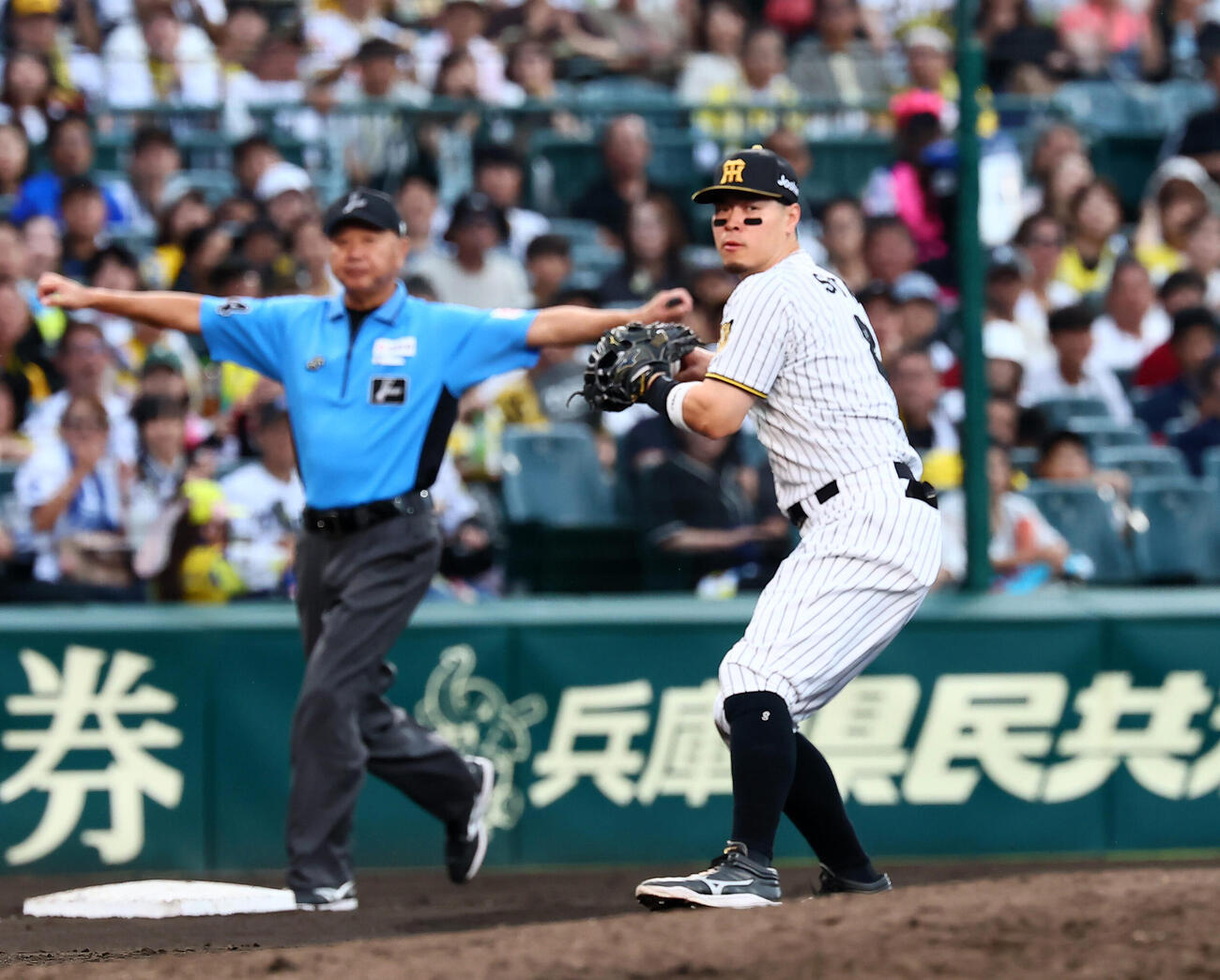 阪神対DeNA 8回表DeNA無死二、三塁、佐藤輝明は蝦名達夫の打球を捕球し一塁へ送球（撮影・加藤哉）
