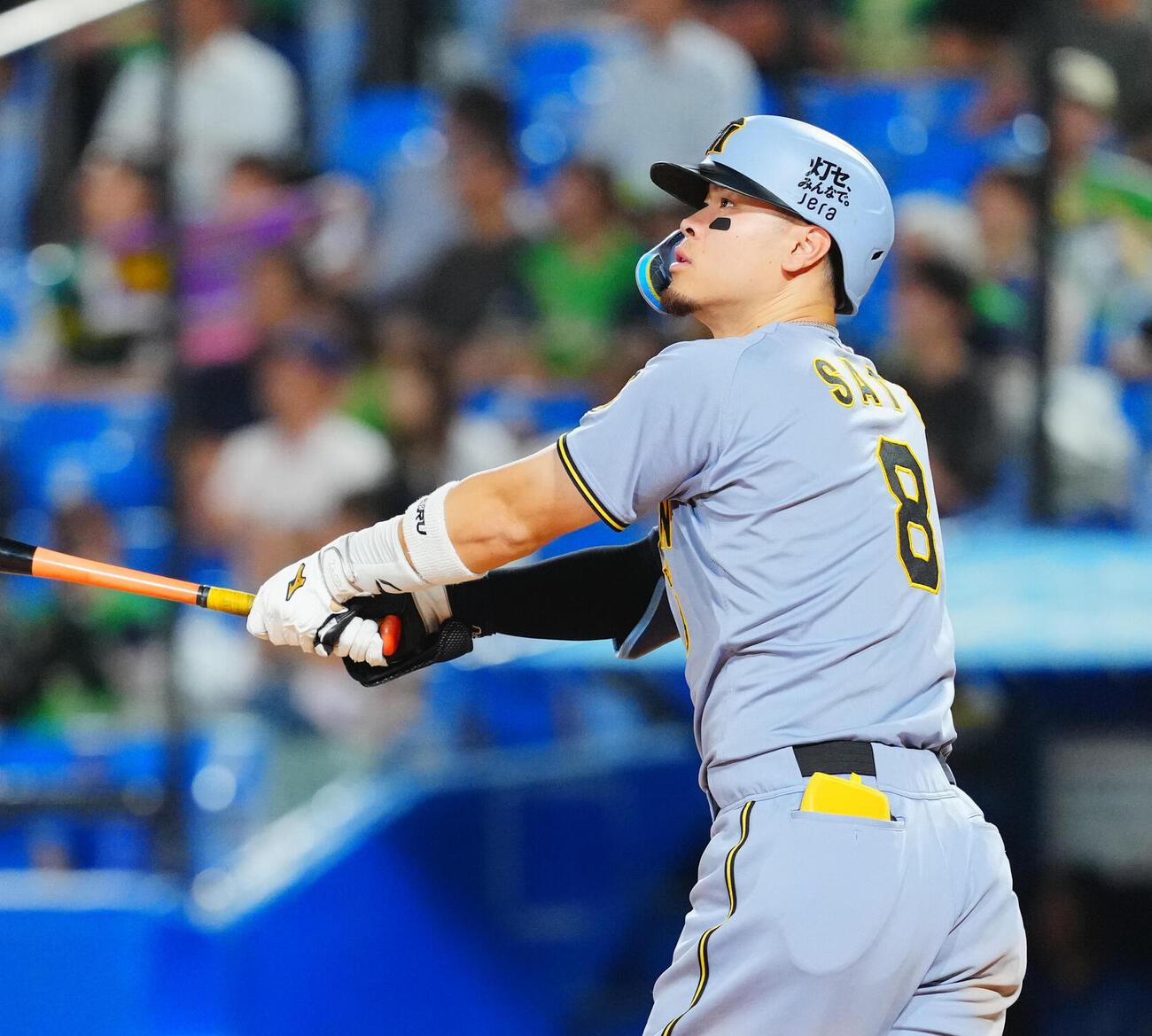 阪神佐藤輝明（2026年撮影）