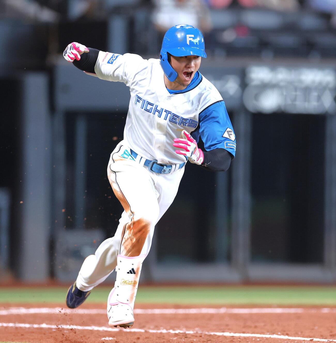 日本ハム対オリックス　5回裏日本ハム2死一、三塁、適時打を放ち叫ぶ西川遥輝（撮影・黒川智章）