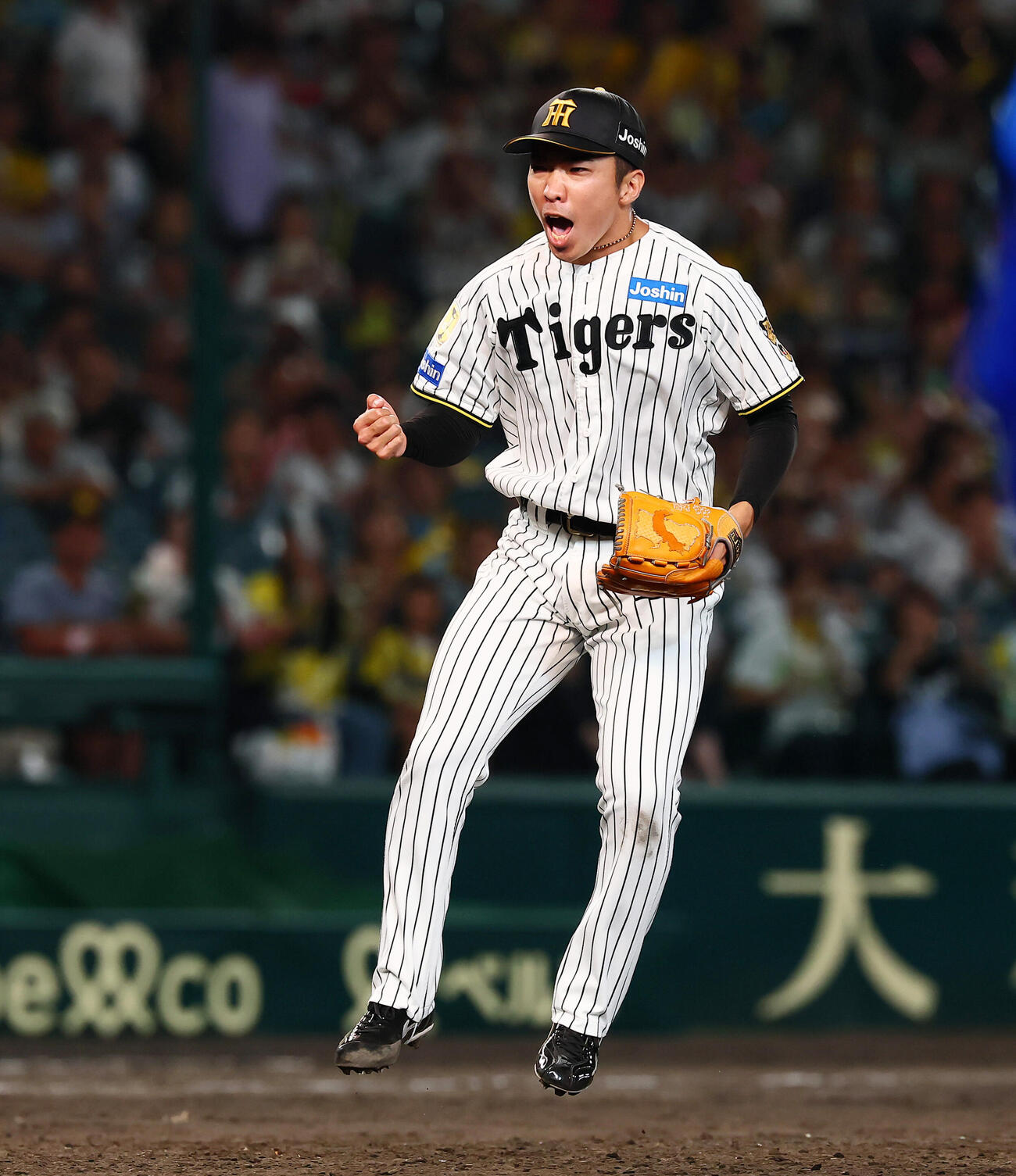 阪神対DeNA 11回表DeNA2死一、二塁、石井大智は度会隆輝を三振に仕留めガッツポーズする（撮影・加藤哉）