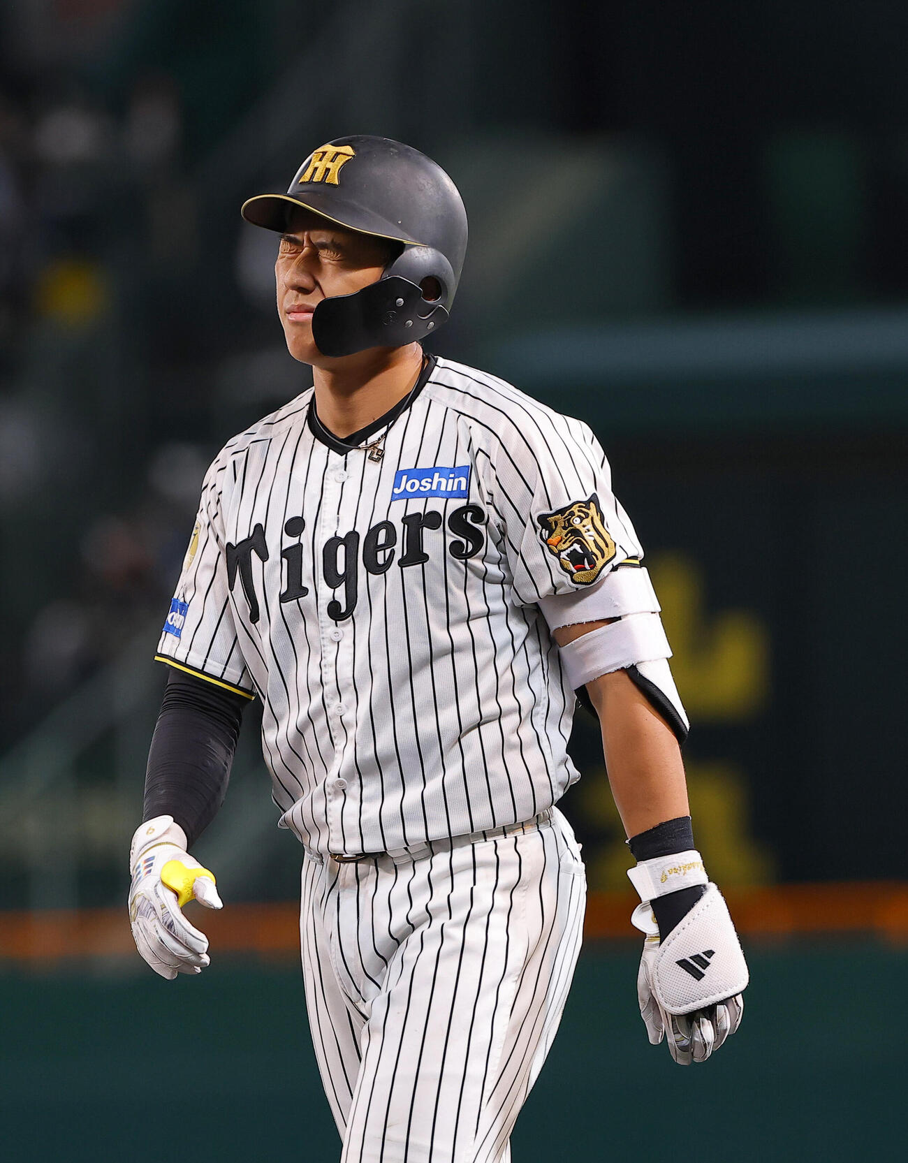 阪神立石正広（2026年9月撮影）