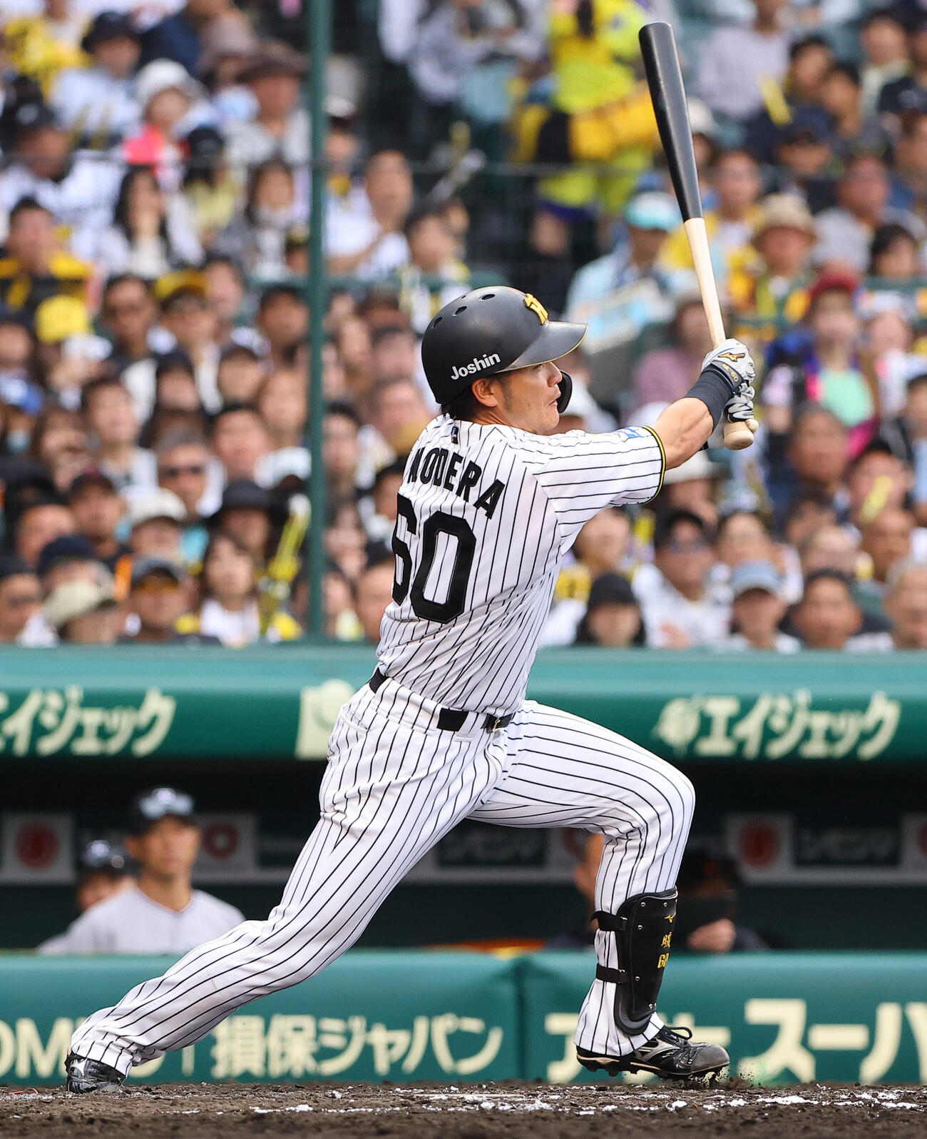 阪神小野寺暖（2026年5月撮影）
