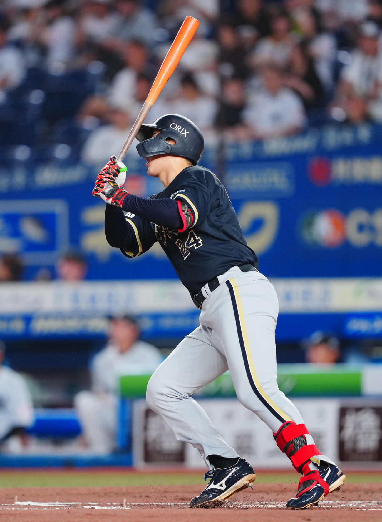 ロッテ対オリックス　2回表オリックス無死、ソロ本塁打を放つ紅林弘太郎（撮影・垰建太）