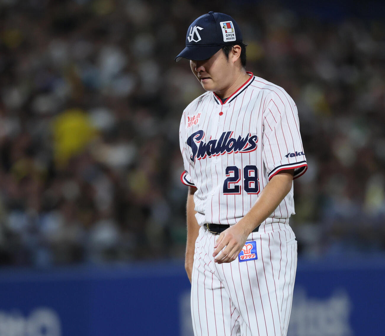 ヤクルト対阪神　1回表に4点を失いガックリベンチに引き揚げる松本健吾（撮影・水谷安孝）