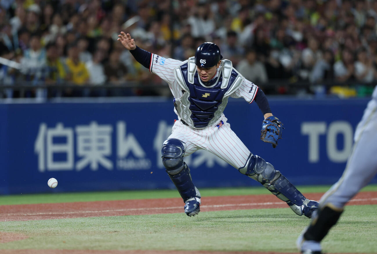 ヤクルト対阪神　8回表阪神無死一塁、中野拓夢のバントをお手玉する鈴木叶（撮影・水谷安孝）