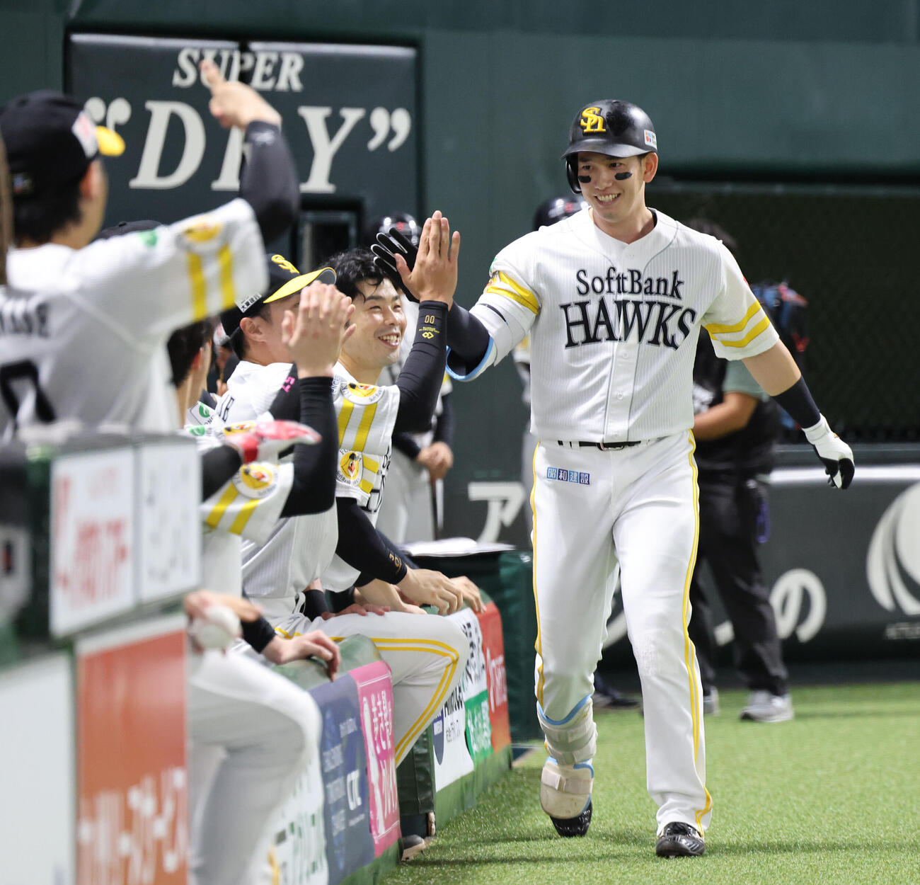 ソフトバンク対西武　8回裏ソフトバンク無死、栗原陵矢は右越え本塁打を放ちベンチのナインとハイタッチ（撮影・梅根麻紀）