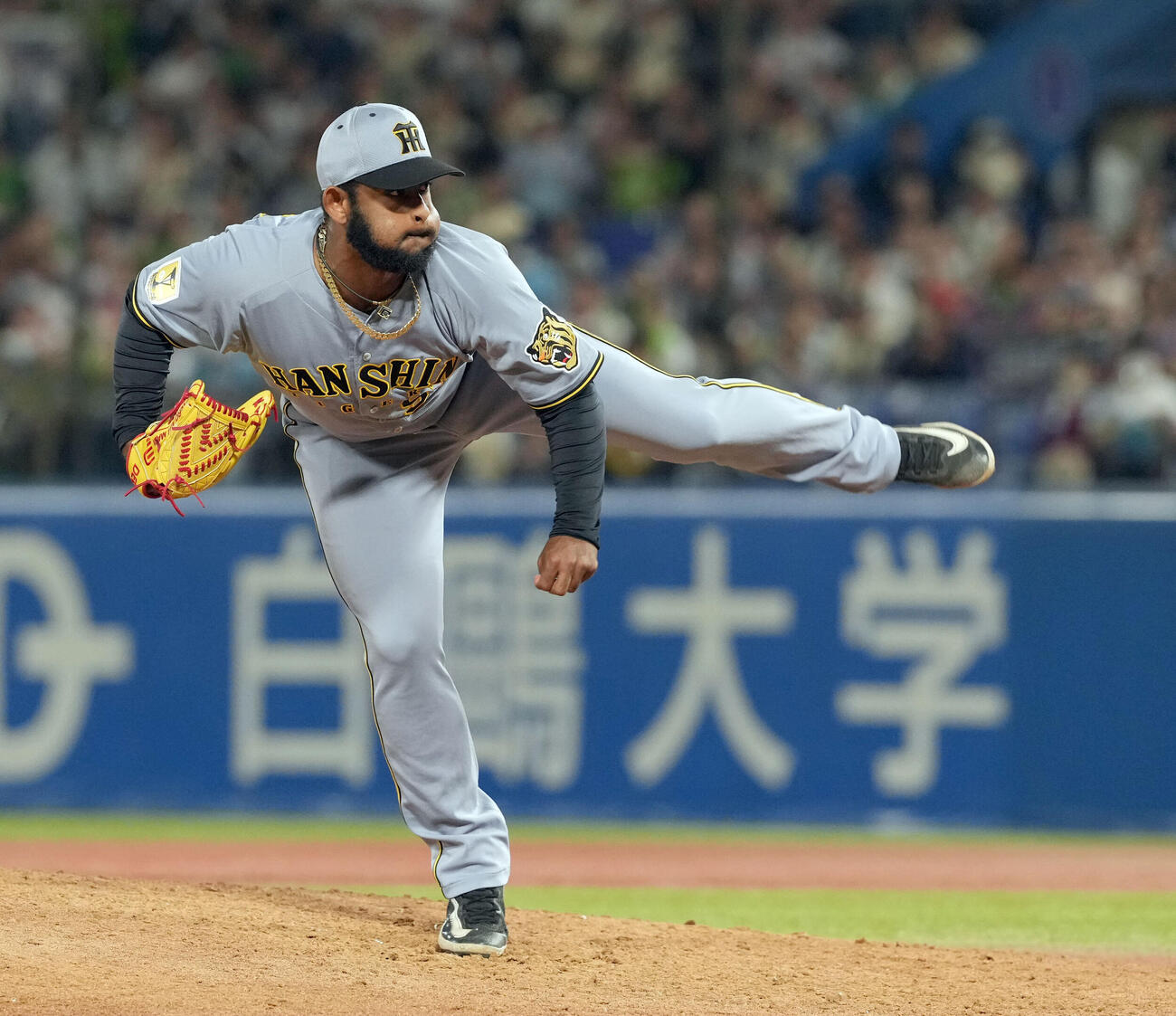 ヤクルト対阪神　10回途中からマウンドに上がった阪神のルイス・セベリーノ（撮影・たえ見朱実）