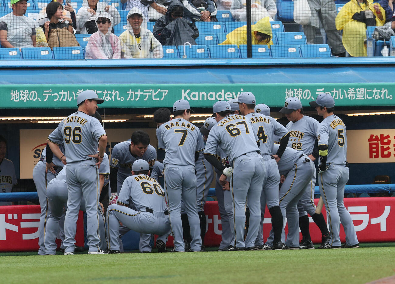 ヤクルト対阪神　試合前、円陣組む阪神ナイン（撮影・水谷安孝）