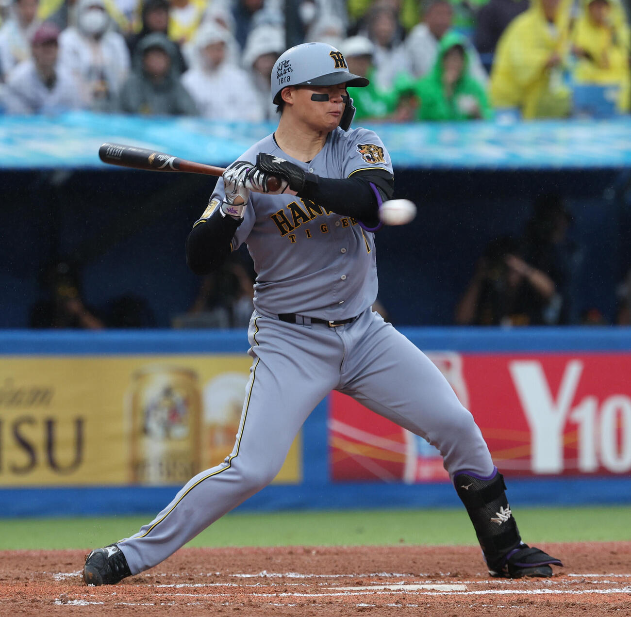 ヤクルト対阪神　6回表阪神無死一塁、死球を受ける森下翔太（撮影・水谷安孝）