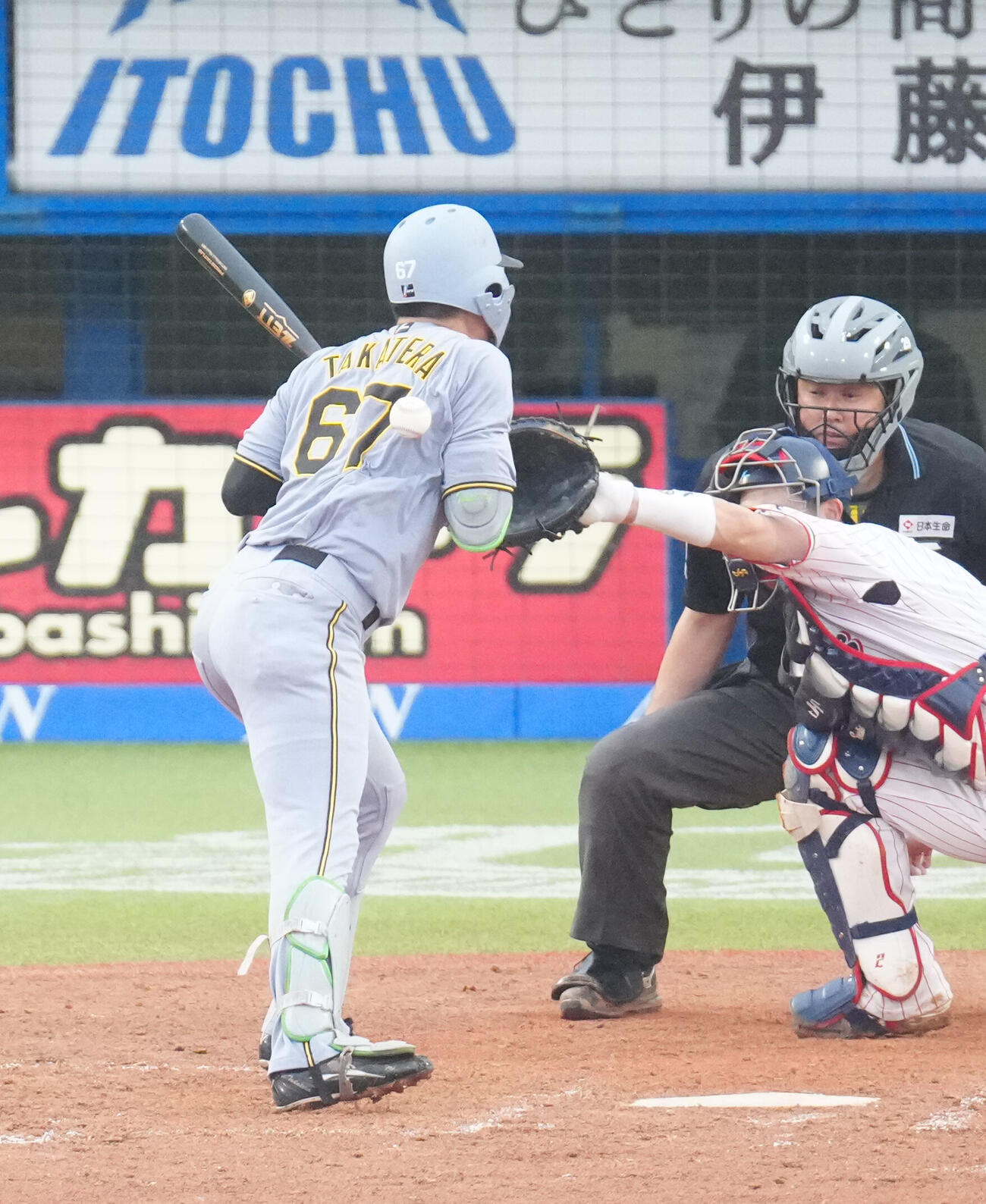 ヤクルト対阪神　7回表阪神2死二、三塁、死球を受ける高寺望夢（撮影・江口和貴）