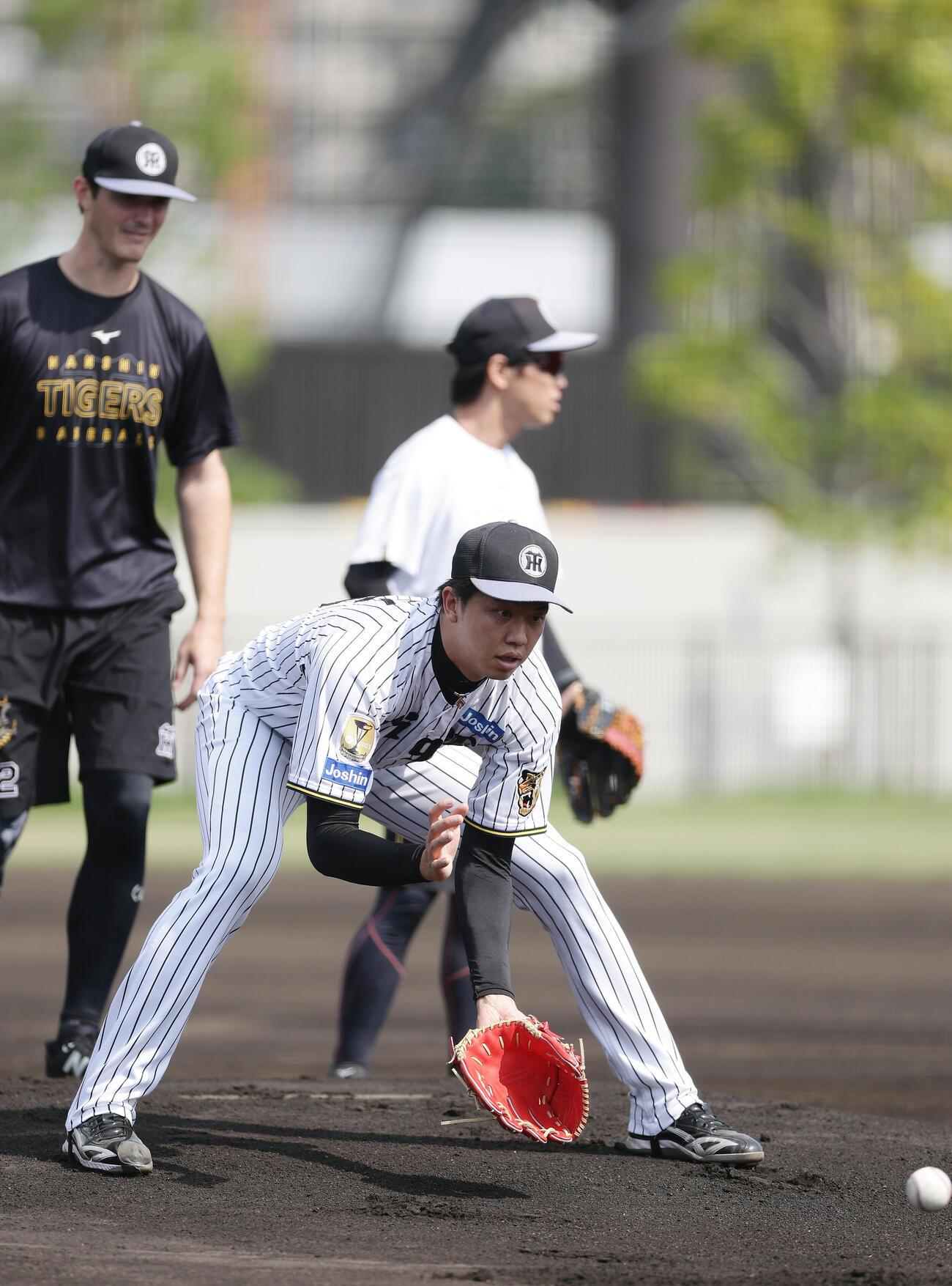 ノックを受ける阪神才木浩人（手前）ら（撮影・前田充）