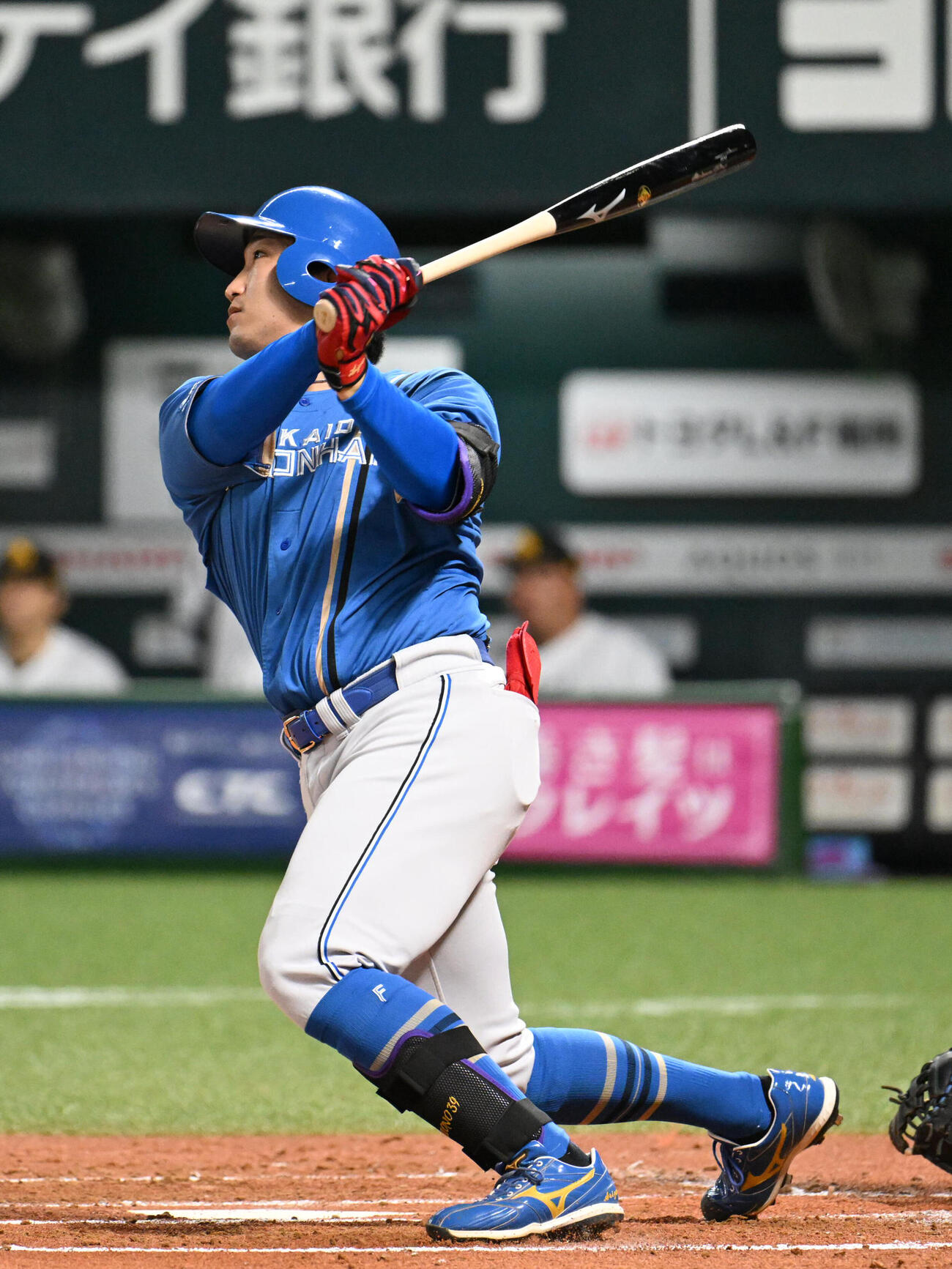 日本ハム有薗直輝（2026年9月撮影）　