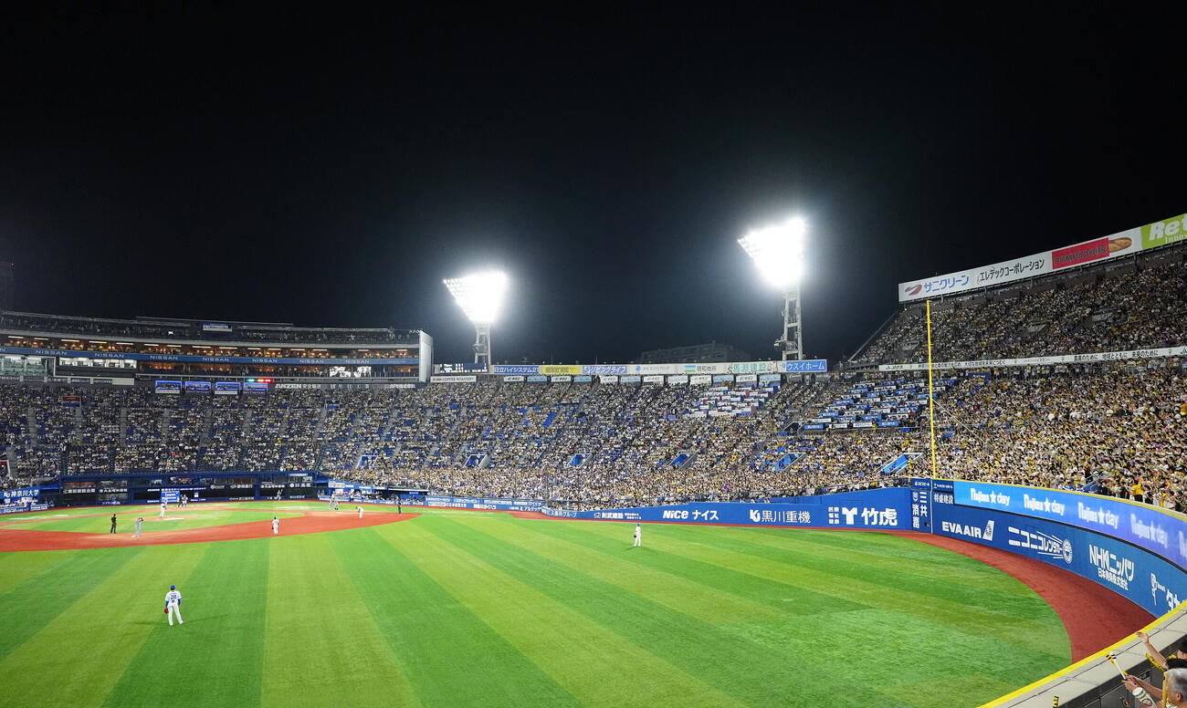 DeNA対阪神　4回表、応援する阪神ファン（撮影・江口和貴）