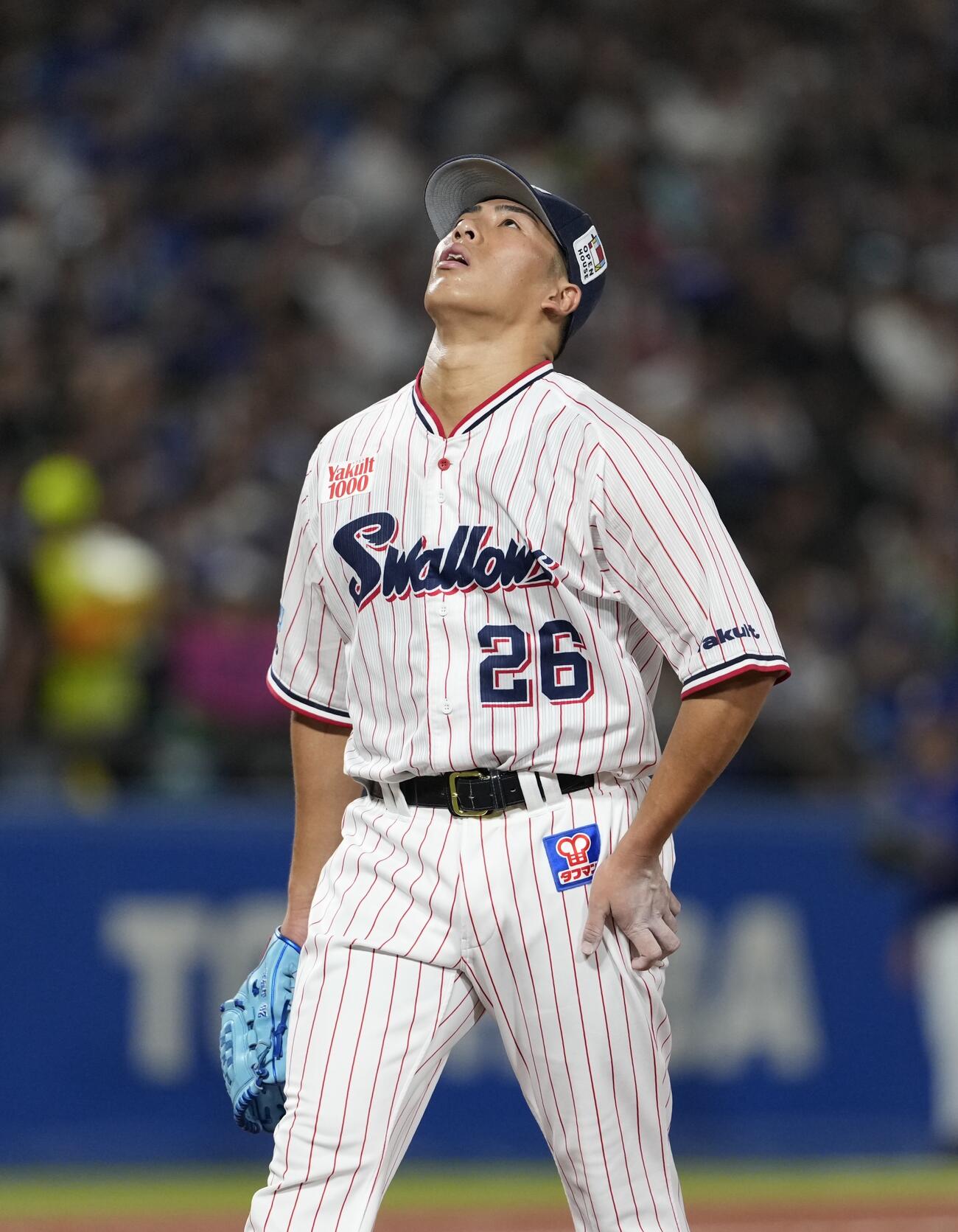 ヤクルト対中日　3回表中日2死、サノーを右飛に仕留めるも天を仰ぐ山野太一（撮影・小島史椰）