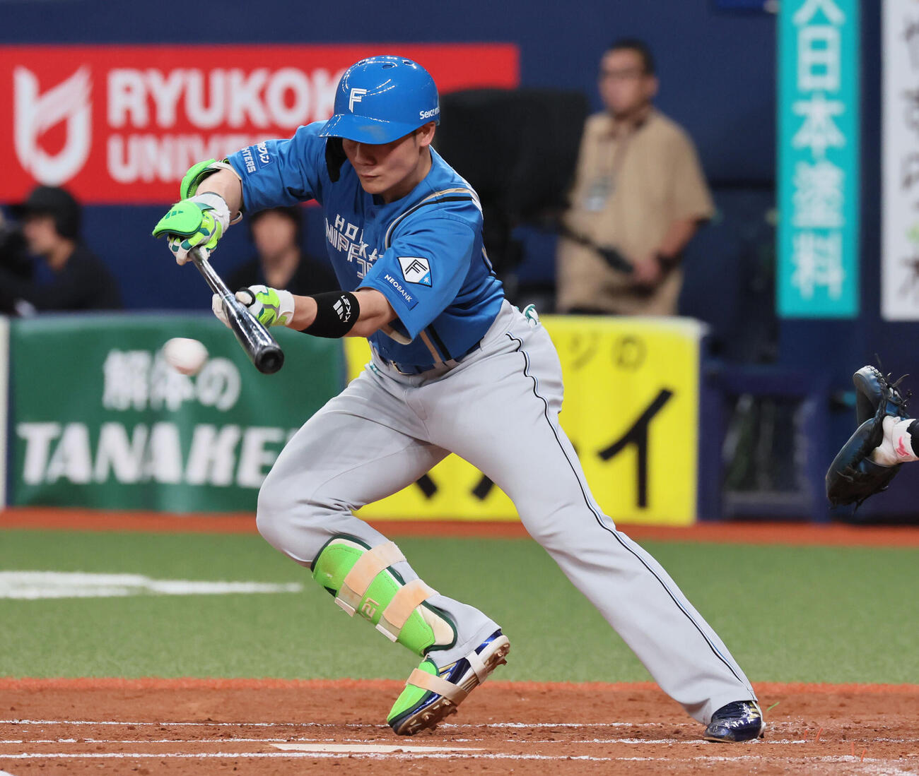オリックス対日本ハム　4回表日本ハム1死一塁、清宮幸太郎は犠打を決める（撮影・宮崎幸一）