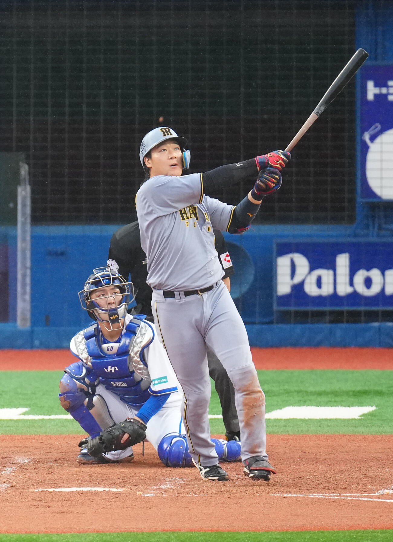 DeNA対阪神　4回表阪神1死、本塁打を放つ大山悠輔（撮影・江口和貴）