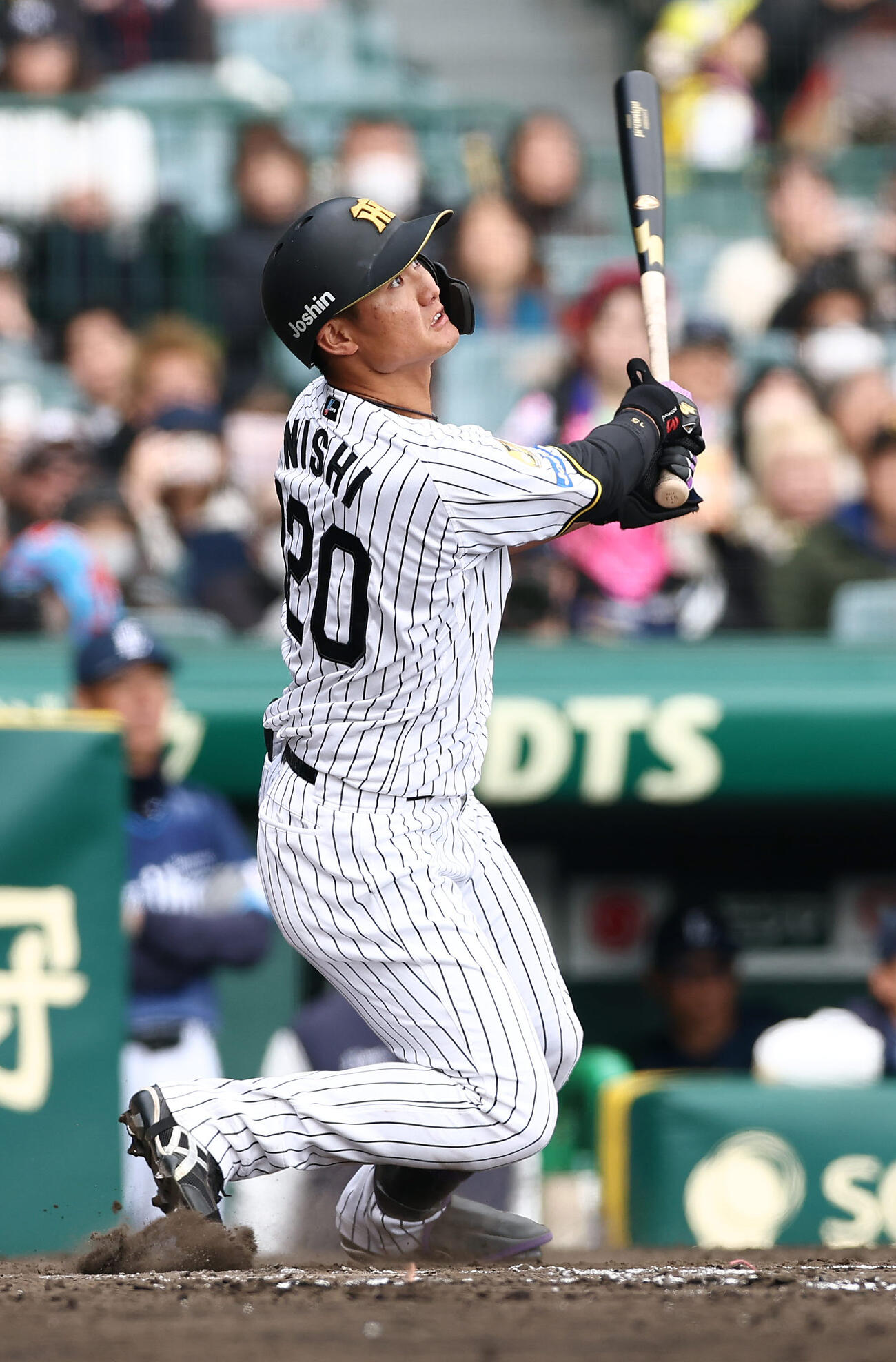 阪神西純矢（2026年3月撮影）