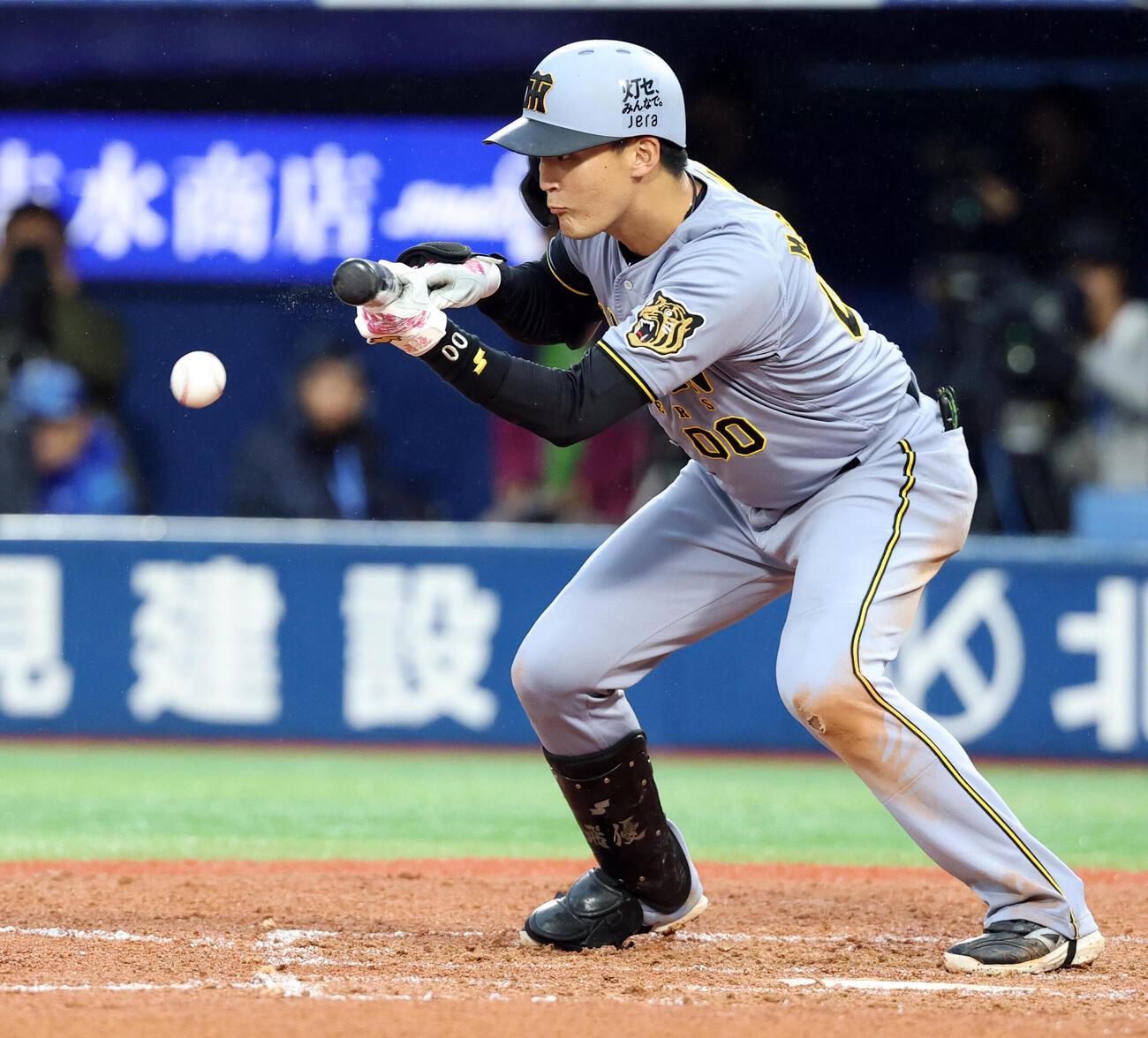 DeNA対阪神　7回表阪神無死一、二塁、元山飛優は送りバントを決める（撮影・浅見桂子）