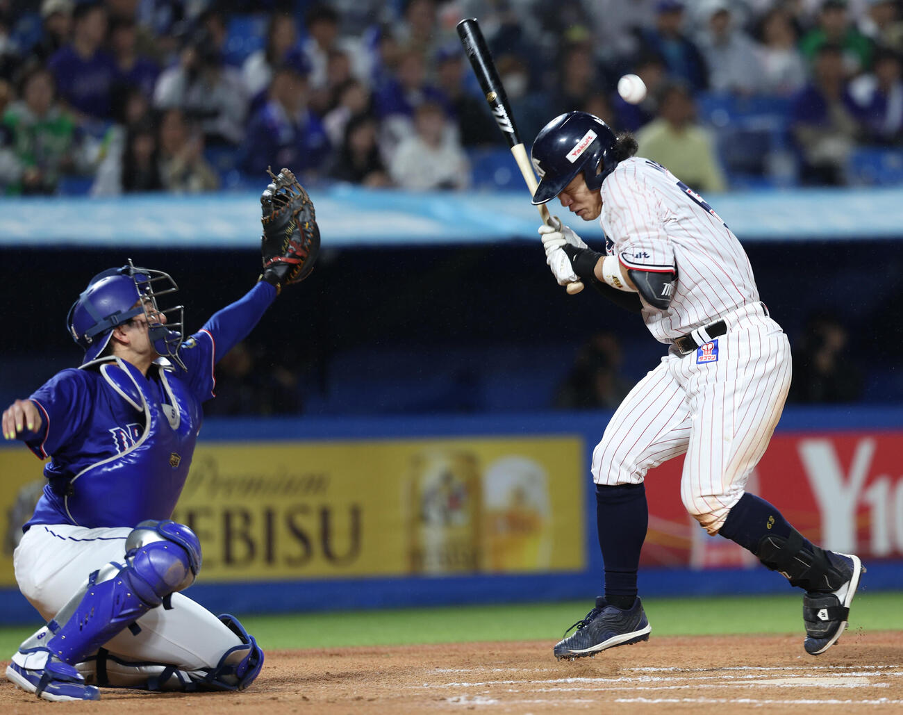 ヤクルト対中日　7回裏ヤクルト無死一、二塁、死球を受ける増田珠（撮影・水谷安孝）