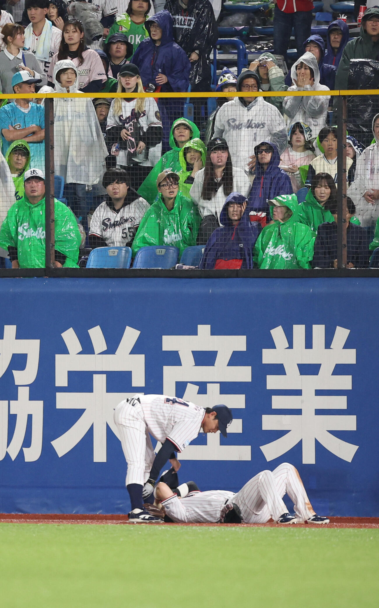 ヤクルト対中日　9回表中日1死、石伊雄太の打球を追い倒れた丸山和郁を心配する岩田幸宏（撮影・水谷安孝）