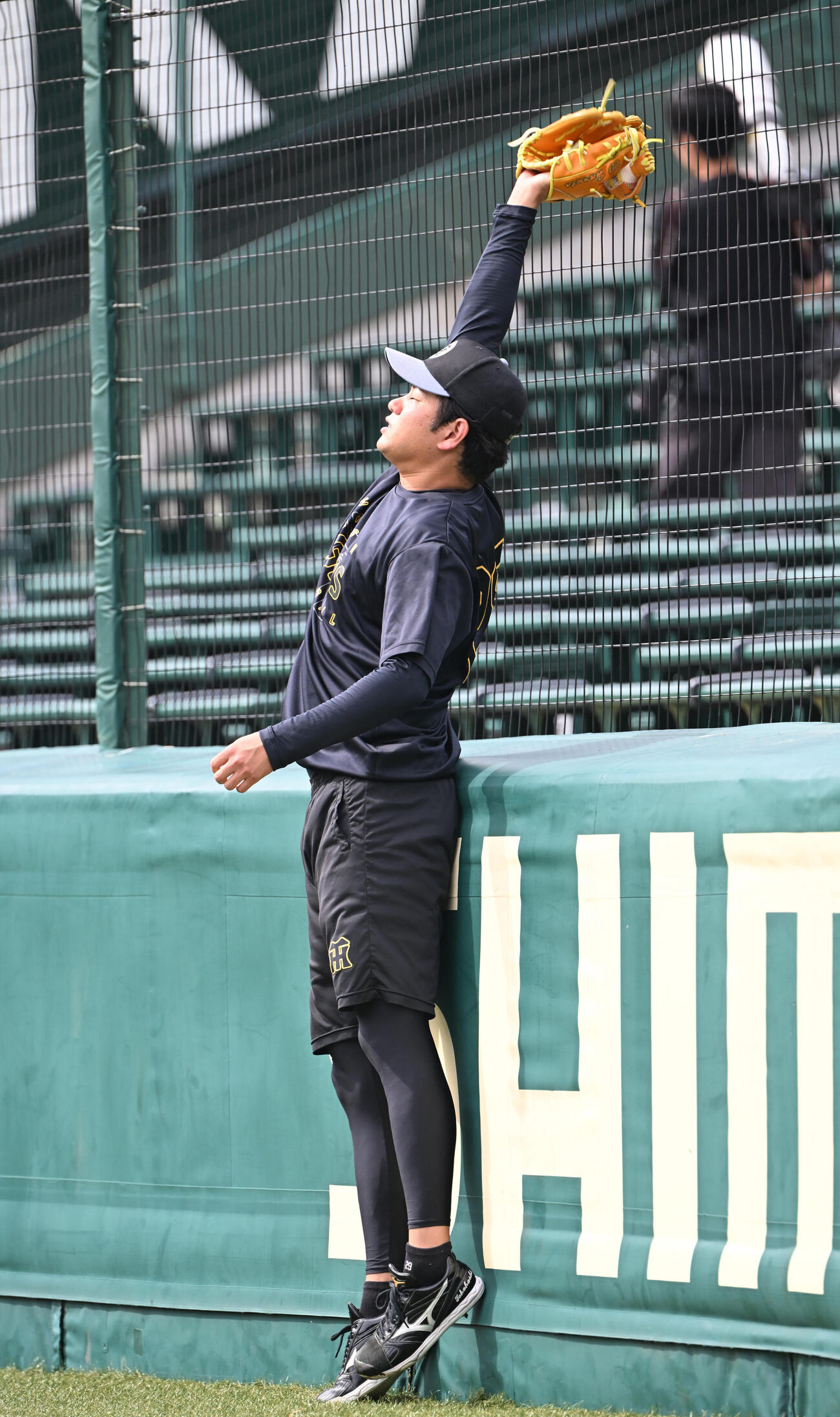 フェンス際、ジャンプしてボールをキャッチする阪神高橋遥人（撮影・和賀正仁）