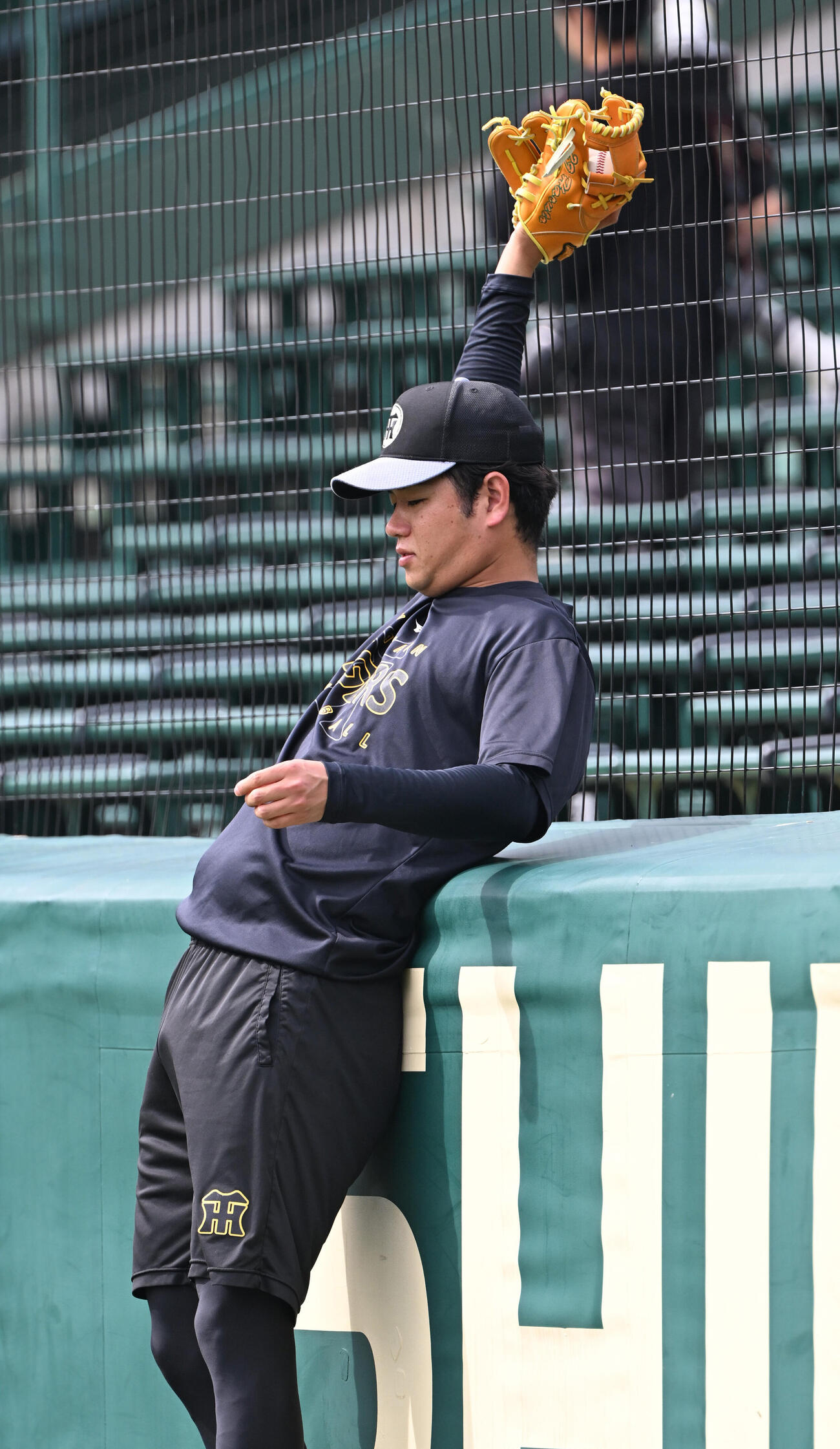 フェンス際、ジャンプしてボールをキャッチする阪神高橋遥人（撮影・和賀正仁）