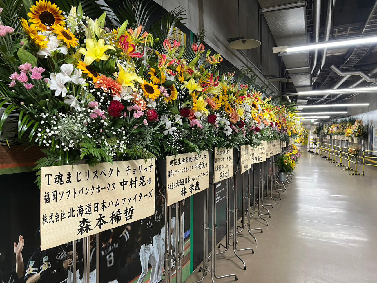 ソフトバンク対西武　コンコースにずらり並んだ引退試合の中村晃への贈り花（撮影・梅根麻紀）