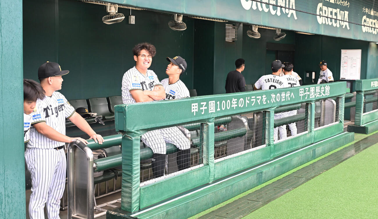 試合中止となり引き揚げる阪神の選手ら（撮影・和賀正仁）