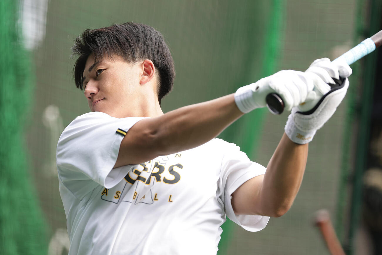 打撃練習を行う阪神立石正広（2026年撮影）