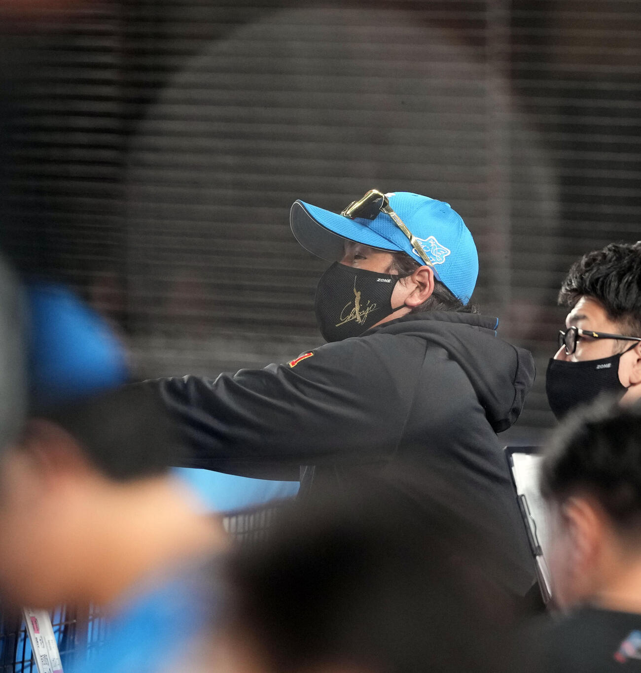 ロッテ対日本ハム　戦況を見つめる日本ハム新庄剛志監督（撮影・たえ見朱実）