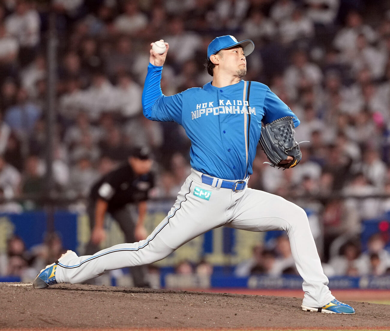 ロッテ対日本ハム7回からマウンドに上がった日本ハム池田隆英（撮影・たえ見朱実）
