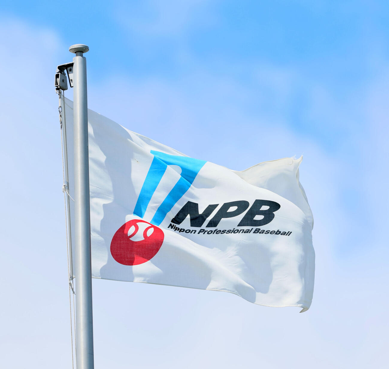 NPB旗