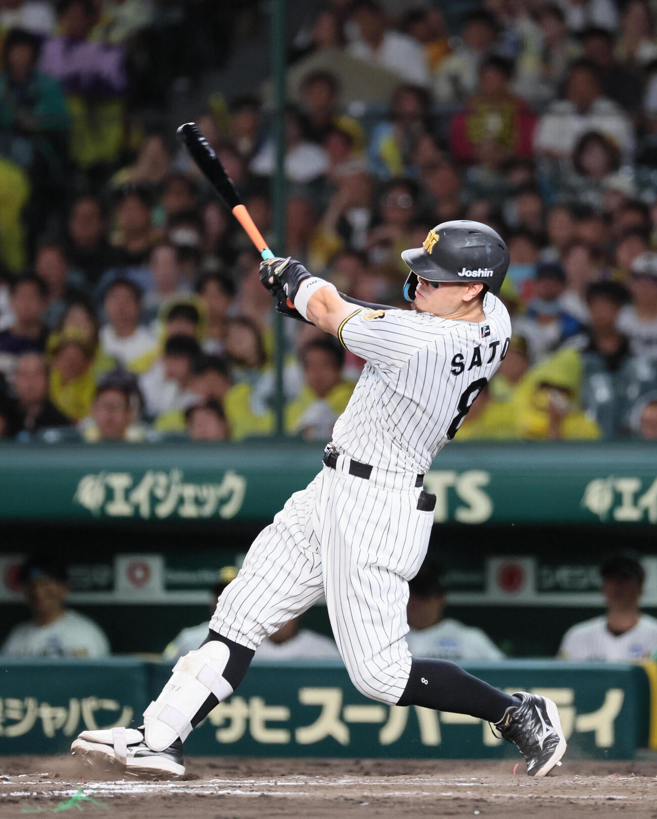阪神佐藤輝明（2026年撮影）