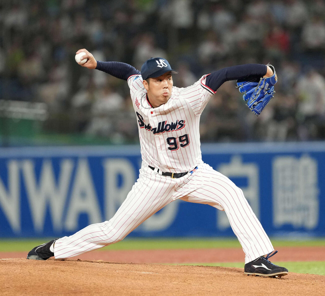 ヤクルト青柳晃洋（2025年撮影）