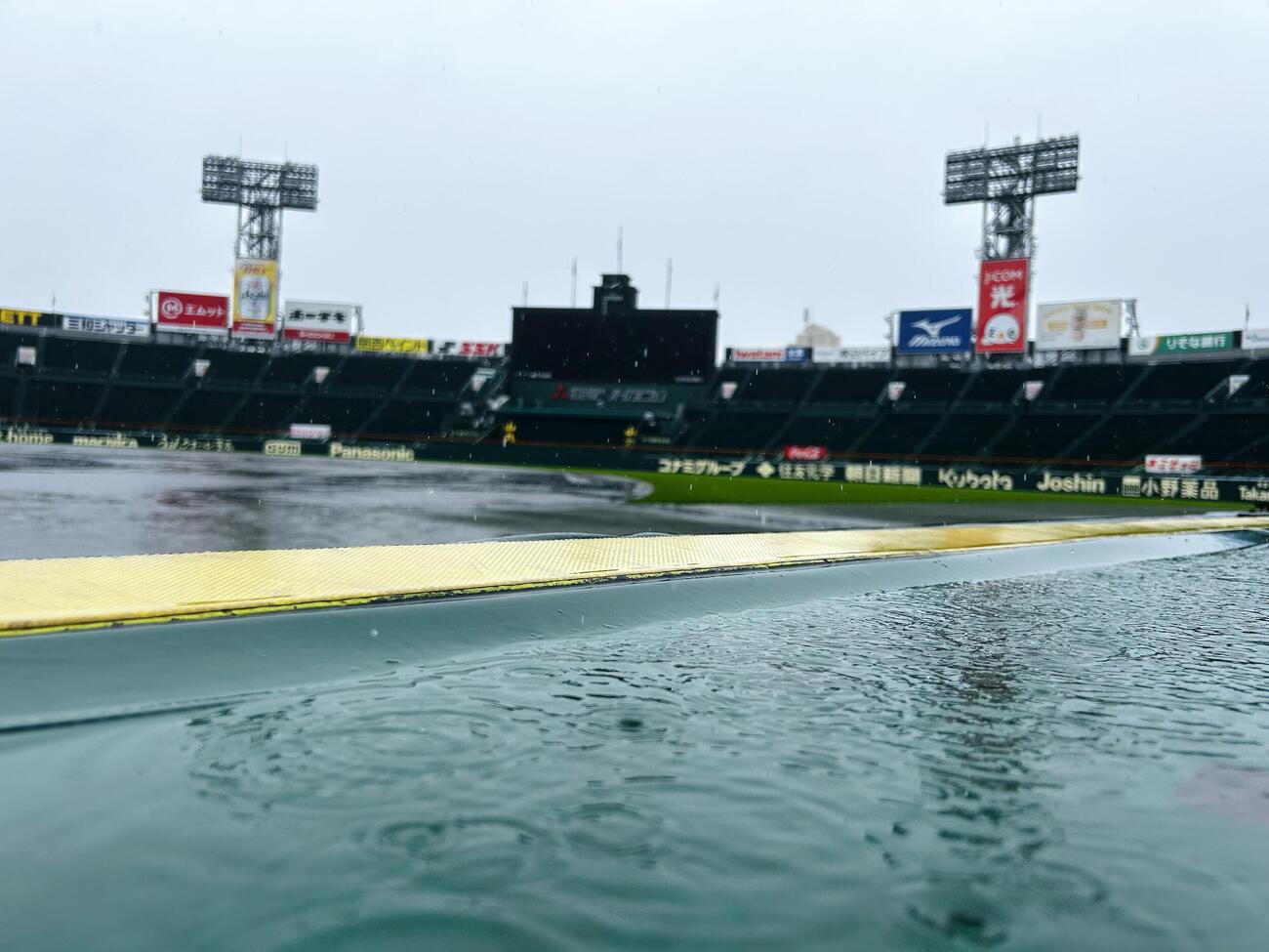 阪神対ヤクルト　降りしきる雨でグラウンドは水びたし（撮影・加藤哉）