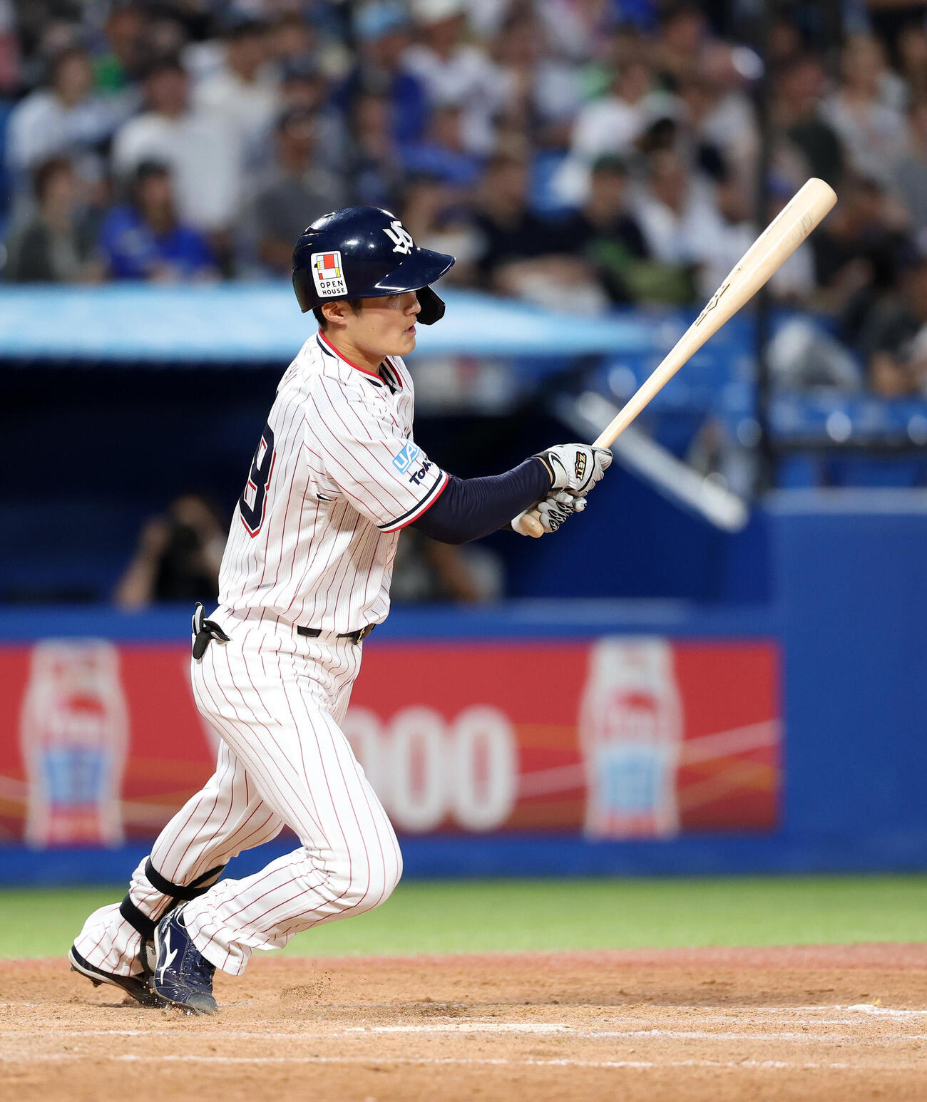 ヤクルト石井巧（2026年7月撮影）